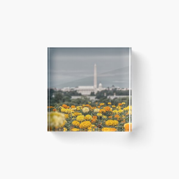 Item preview, DC Skyline designed and sold by Matthew Carroll.