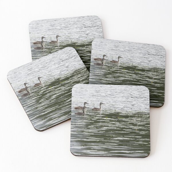 Item preview, Trio. Great crested grebe. Young designed and sold by Jouko Lehto Photography.
