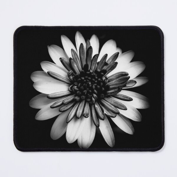 Item preview, Black and white flower, art photography designed and sold by SandraC-Duarte.