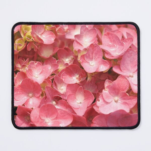Item preview, Pink hydrangea closeup designed and sold by Gaspar Avila.