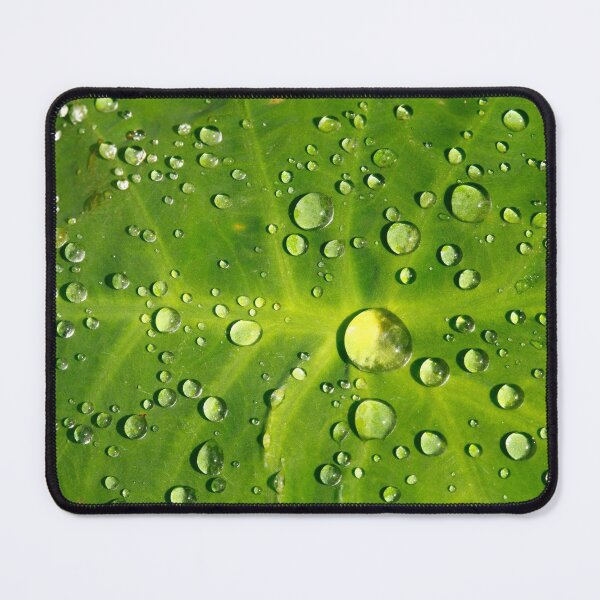 Item preview, Raindrops designed and sold by Gaspar Avila.