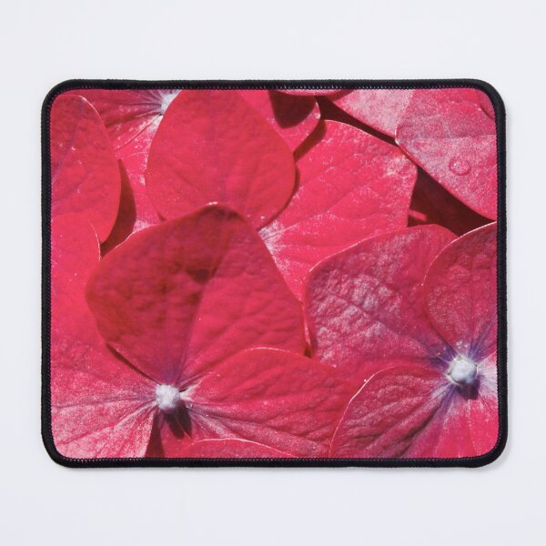 Item preview, Hydrangea closeup designed and sold by Gaspar Avila.