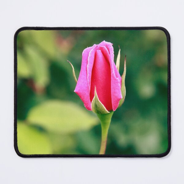 Item preview, Pink rose bud designed and sold by Gaspar Avila.