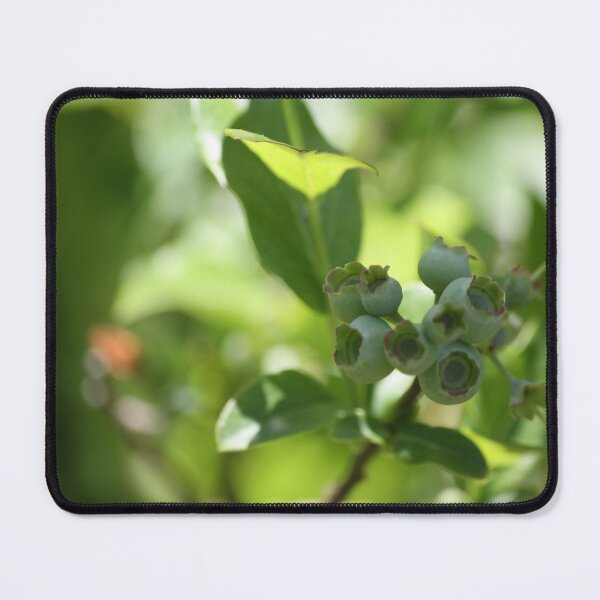 Item preview, Blueberry study- Unripe 1 designed and sold by chstudios.