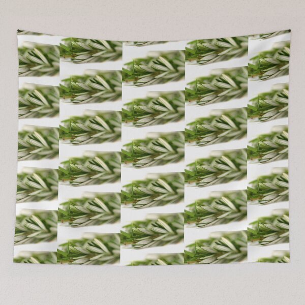 Item preview, Rosemary designed and sold by Henrik Lehnerer.