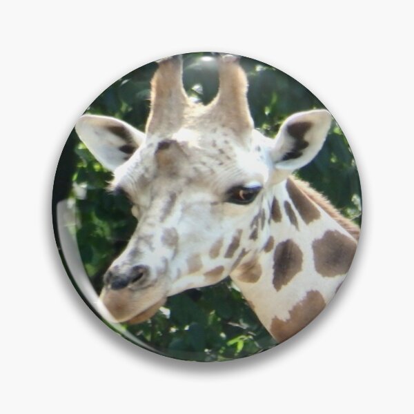 Item preview, GIRAFFE designed and sold by RachelMacht.