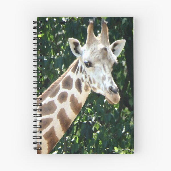 Item preview, GIRAFFE designed and sold by RachelMacht.