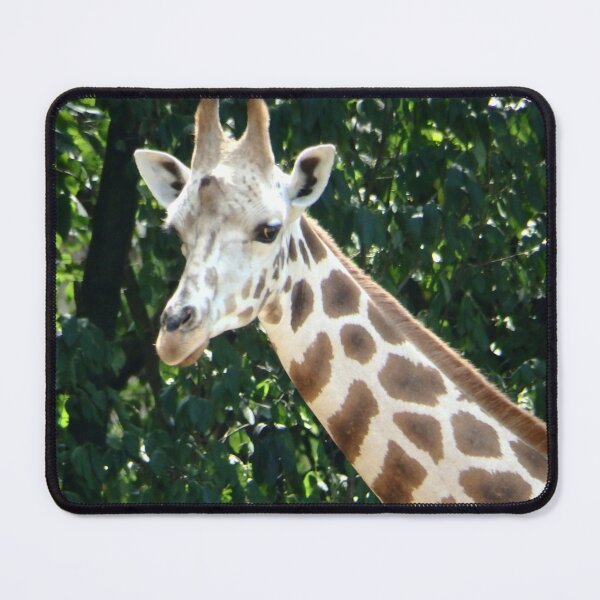 Item preview, GIRAFFE designed and sold by RachelMacht.