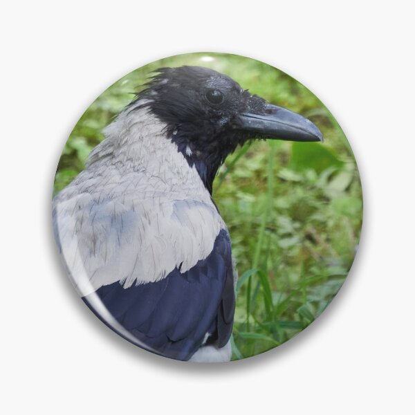 Item preview, Some blue on the shoulders. Hooded crow designed and sold by Jouko Lehto Photography.