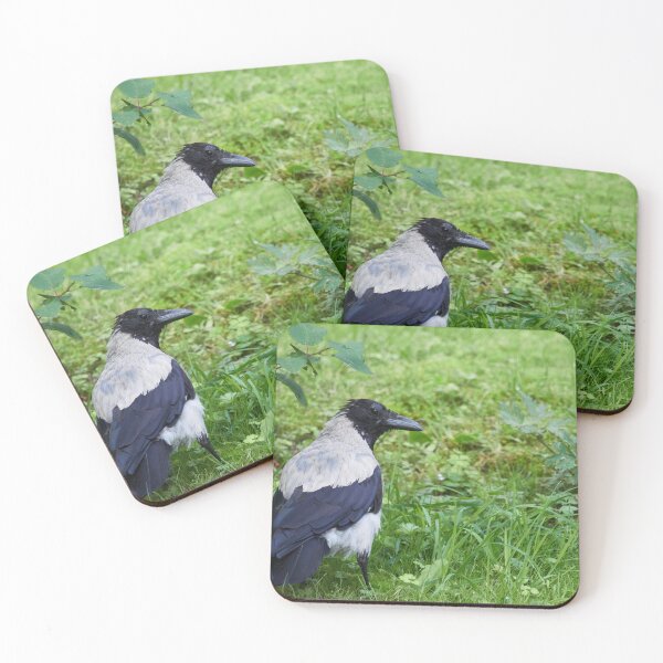 Item preview, Some blue on the shoulders. Hooded crow designed and sold by Jouko Lehto Photography.