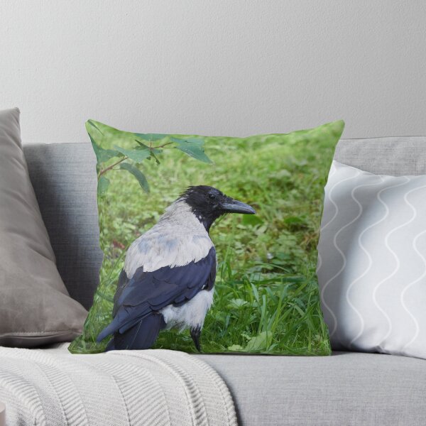 Item preview, Some blue on the shoulders. Hooded crow designed and sold by Jouko Lehto Photography.