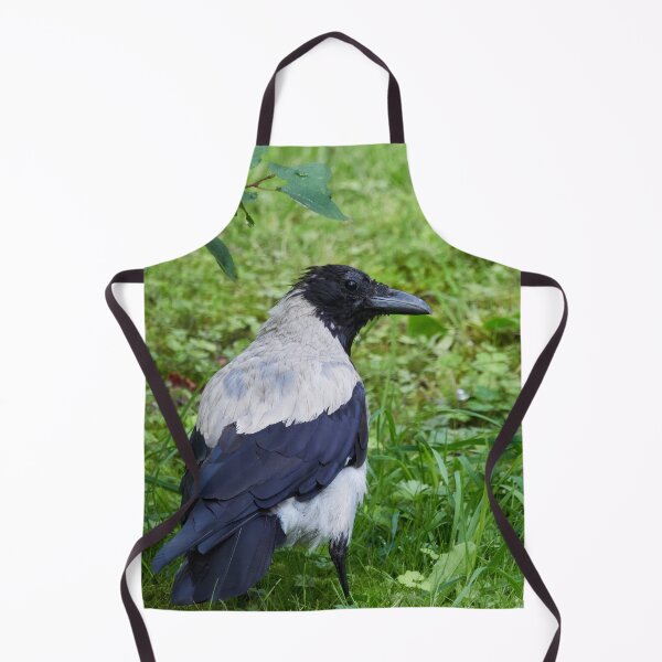 Item preview, Some blue on the shoulders. Hooded crow designed and sold by Jouko Lehto Photography.