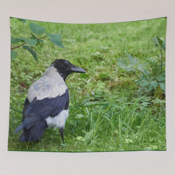 Item preview, Some blue on the shoulders. Hooded crow designed and sold by Jouko Lehto Photography.