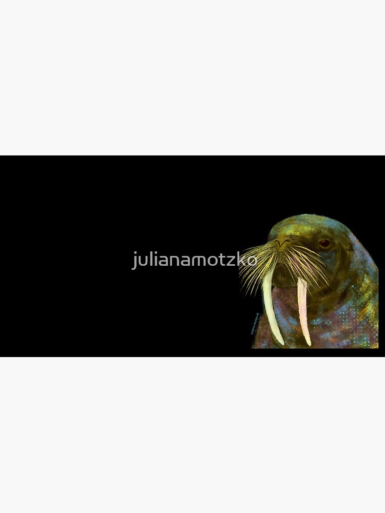 Walrus by julianamotzko