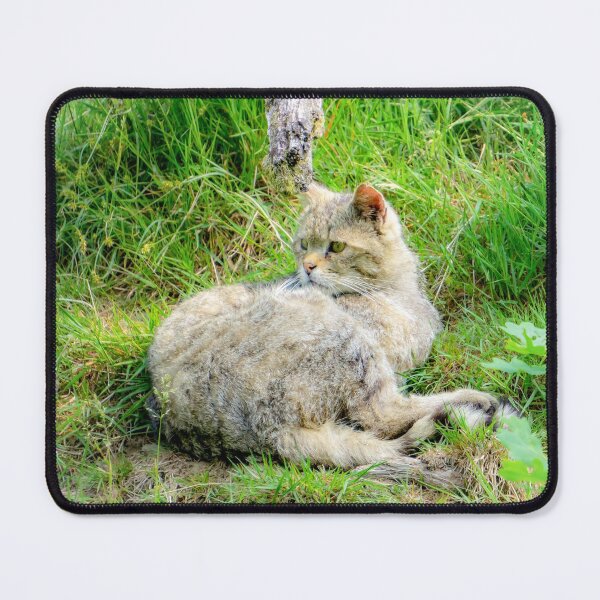Item preview, Relaxed wildcat - wildlife photography designed and sold by MarionsArt.