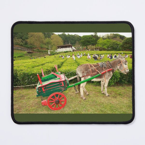 Item preview, Donkey and cart designed and sold by Gaspar Avila.