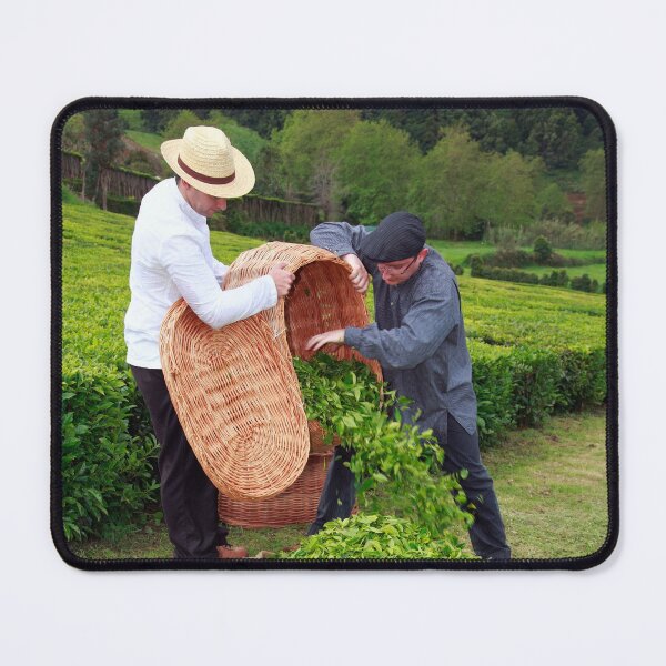 Item preview, Tea gardens designed and sold by Gaspar Avila.