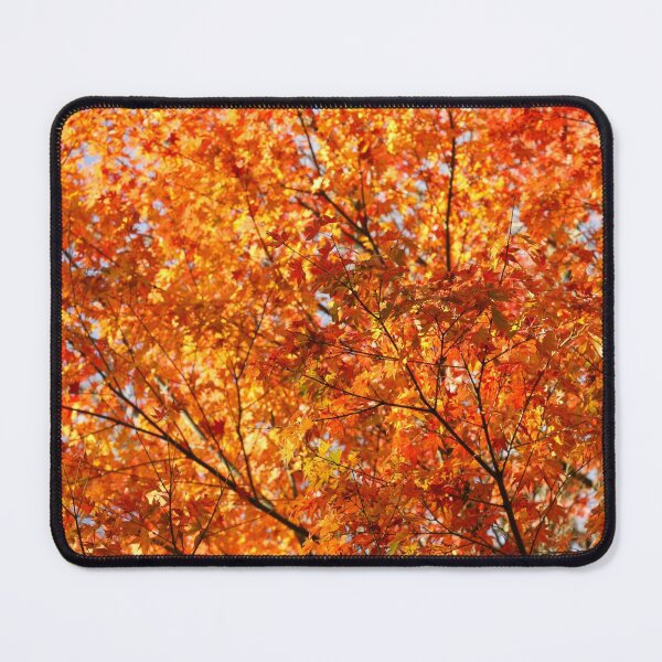 Item preview, Autumn foliage designed and sold by Gaspar Avila.