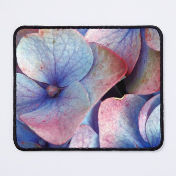 Item preview, Ageing hydrangea designed and sold by Gaspar Avila.