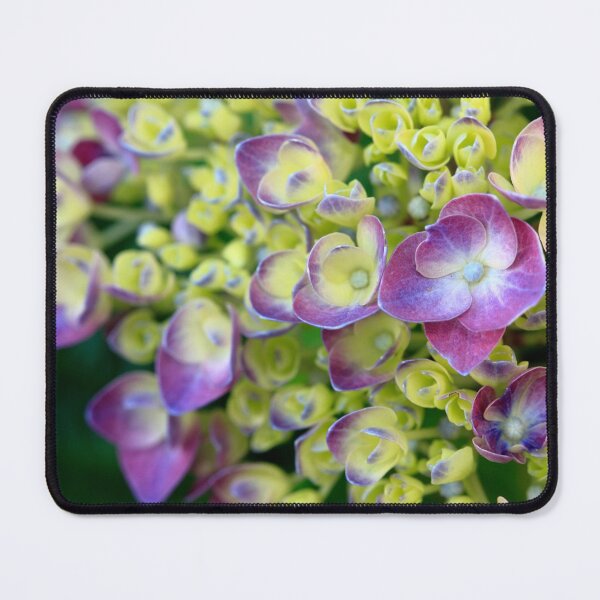 Item preview, Hydrangea designed and sold by Gaspar Avila.