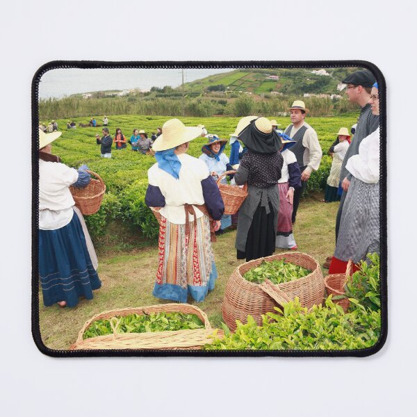 Item preview, Porto Formoso tea gardens designed and sold by Gaspar Avila.