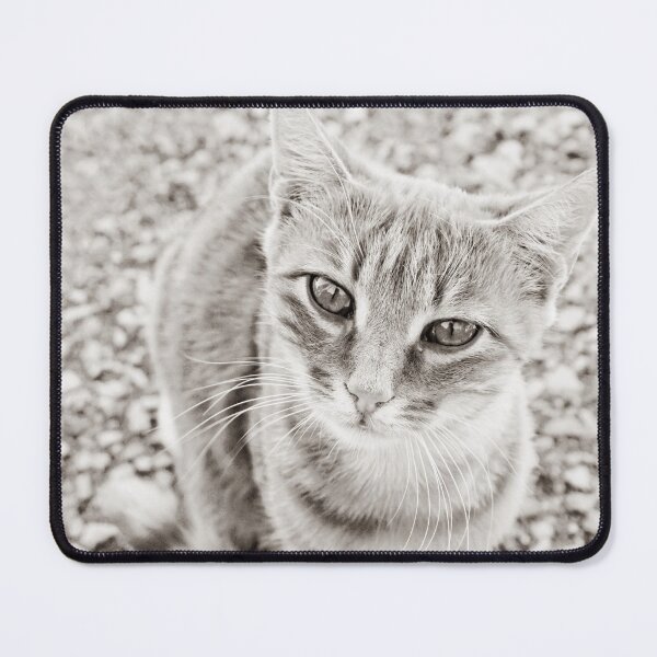 Item preview, I want treats! designed and sold by MarionsArt.