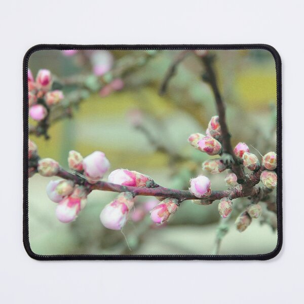 Item preview, Cherry bud designed and sold by MarionsArt.