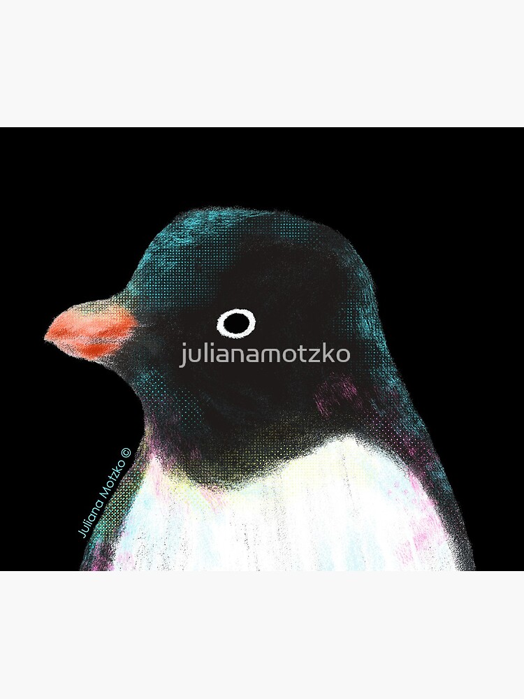 Adélie Penguin by julianamotzko