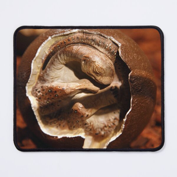 Item preview, Dinosaur egg with embryo designed and sold by Gaspar Avila.