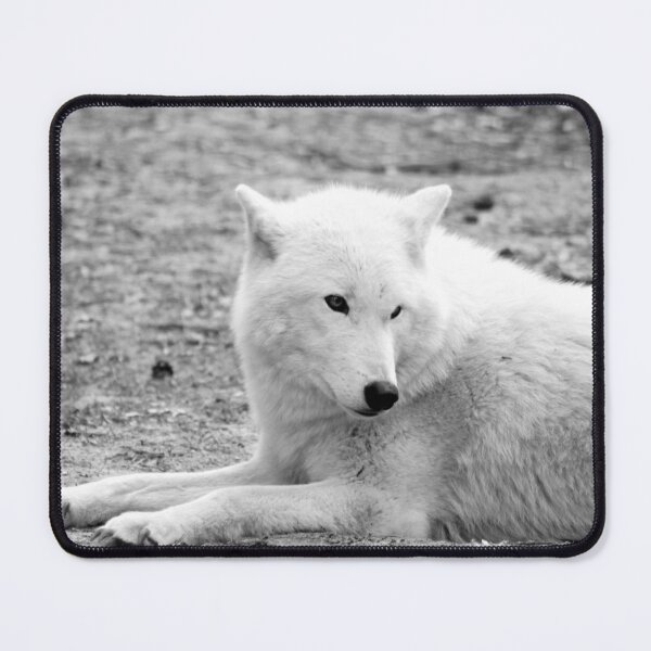 Item preview, Arctic wolf designed and sold by MarionsArt.