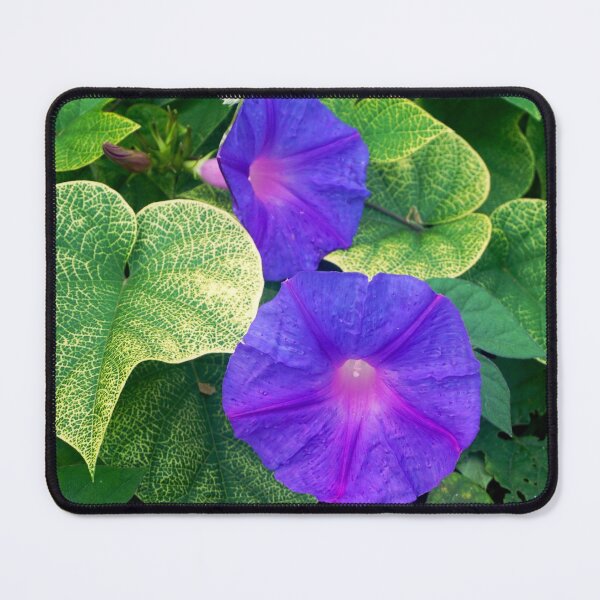 Item preview, The nature is colorful - blue clematis designed and sold by MarionsArt.