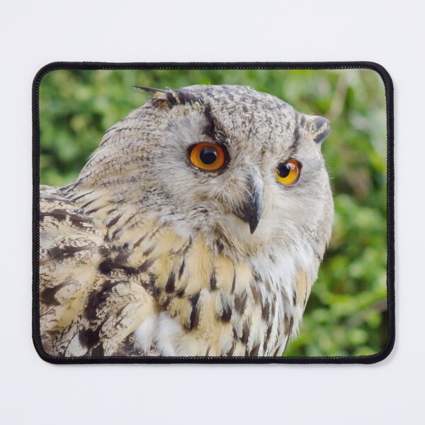 Item preview, Eagle Owl with glowing eyes designed and sold by MarionsArt.