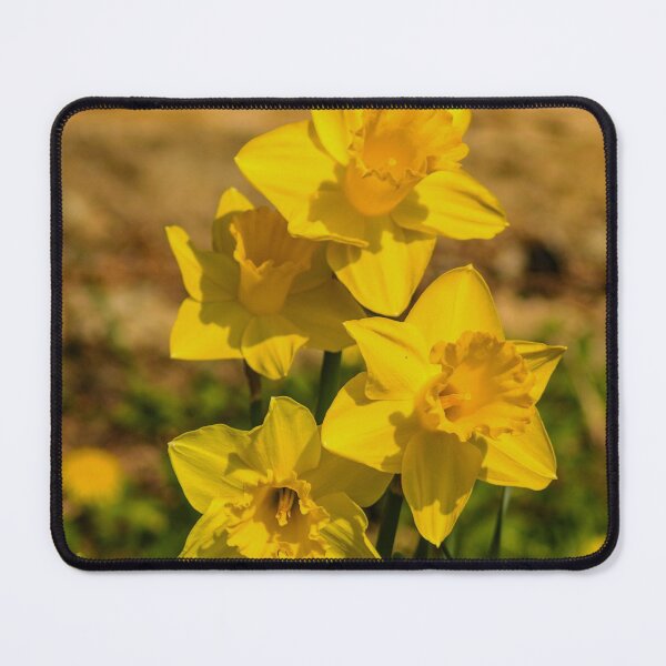 Item preview, daffodils designed and sold by MarionsArt.