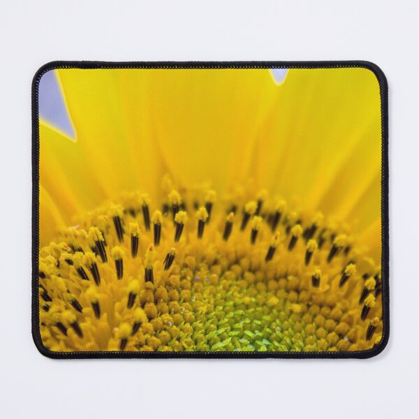 Item preview, Sunflower detail designed and sold by MarionsArt.