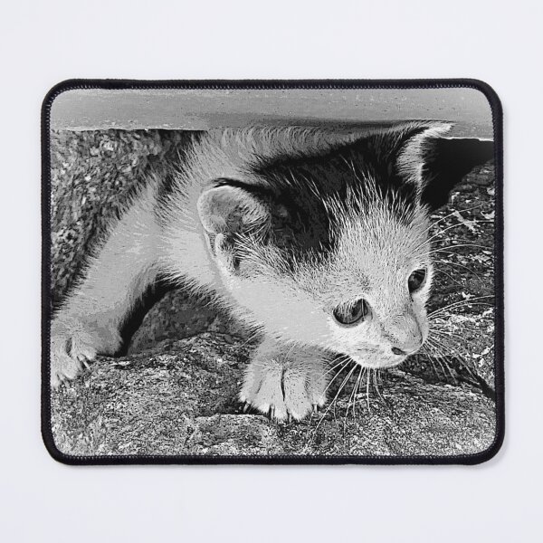 Item preview, Is it safe? Little kitty designed and sold by MarionsArt.