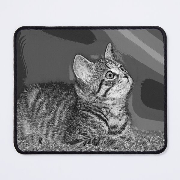 Item preview, Dream on - Baby cat designed and sold by MarionsArt.