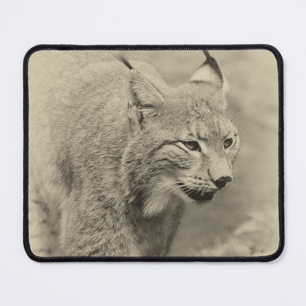Item preview, Beautiful lynx  designed and sold by MarionsArt.