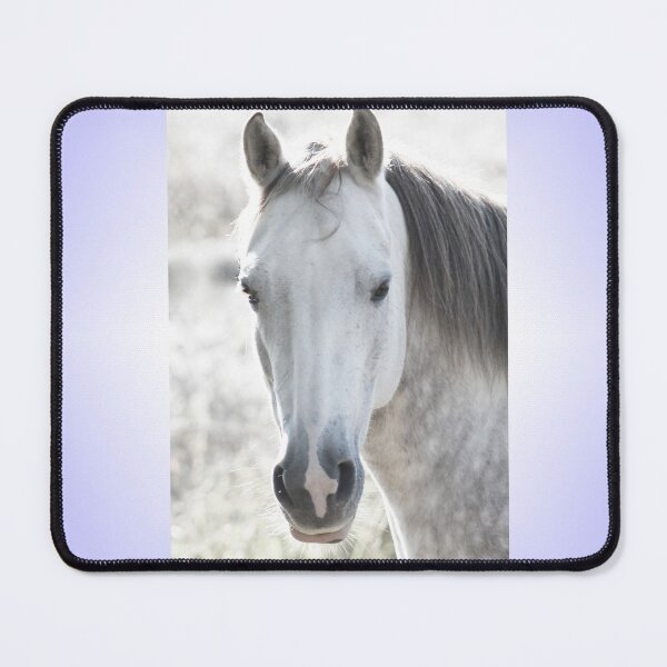 Item preview, White beauty - horse portrait designed and sold by MarionsArt.