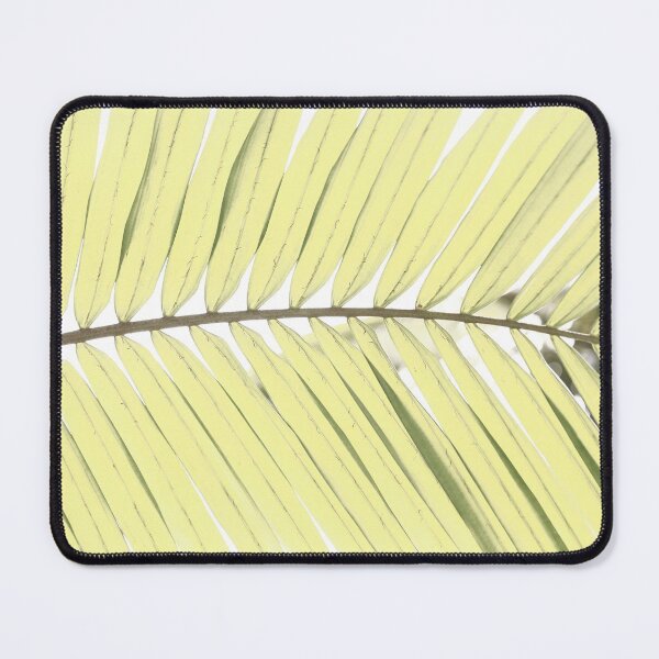 Item preview, Palm leaf designed and sold by Gaspar Avila.