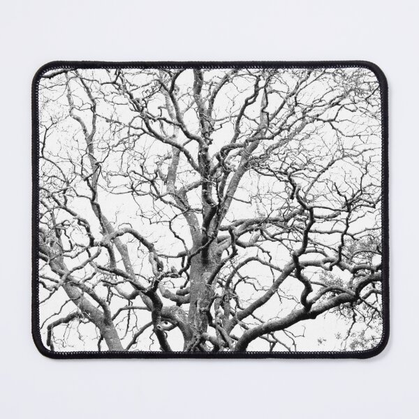 Item preview, Tree branches designed and sold by Gaspar Avila.