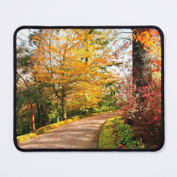 Item preview, Autumn colors designed and sold by Gaspar Avila.