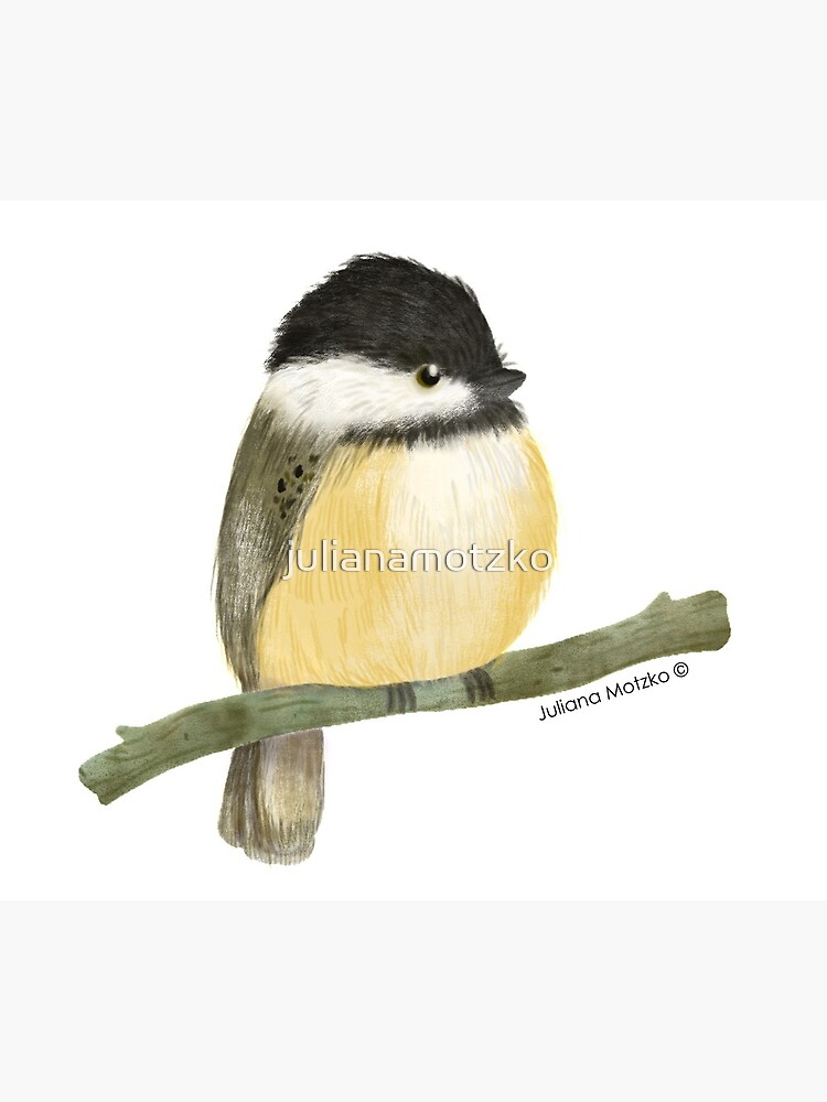 Black capped chickadee bird by julianamotzko