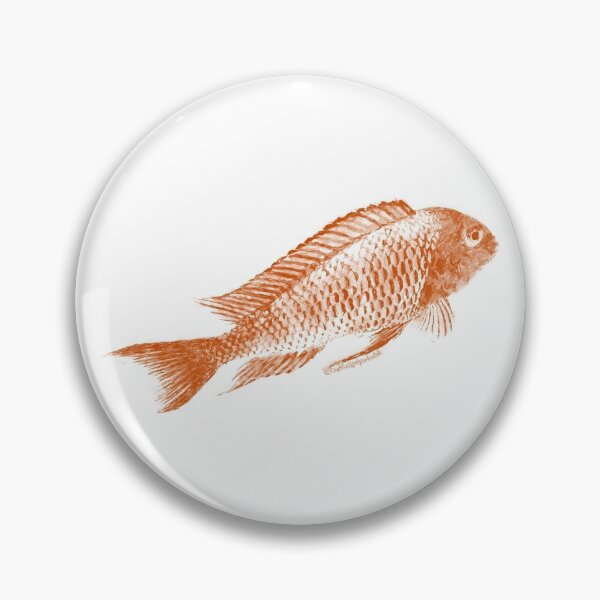 Item preview, firecracker tropheus cichlid designed and sold by Caroline Chatfield.