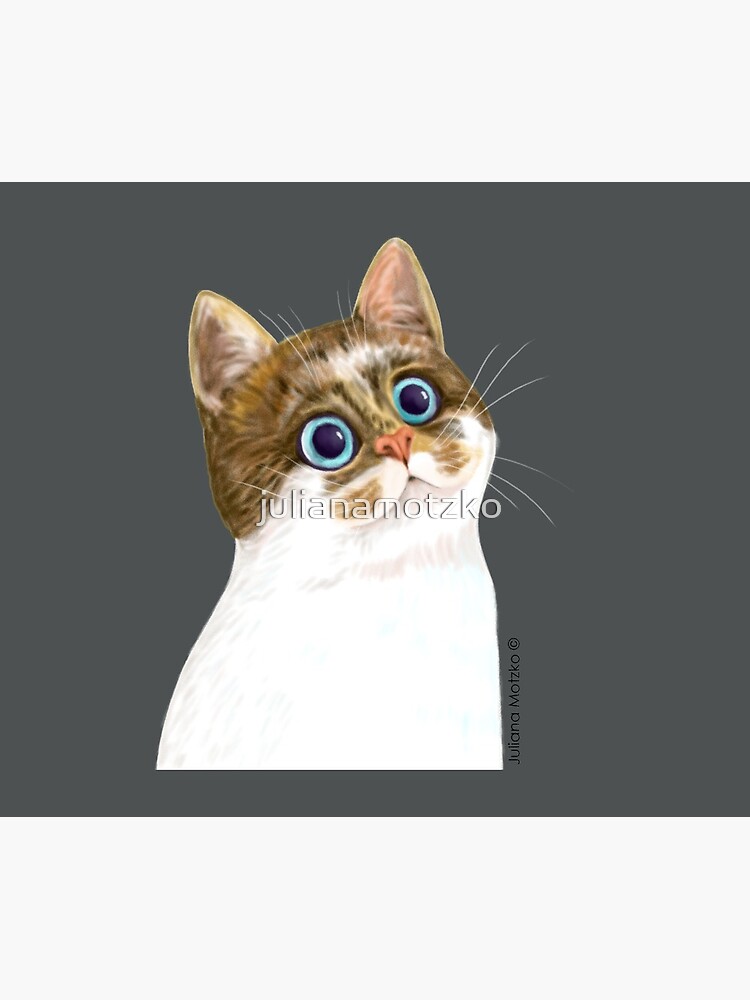 Cat by julianamotzko