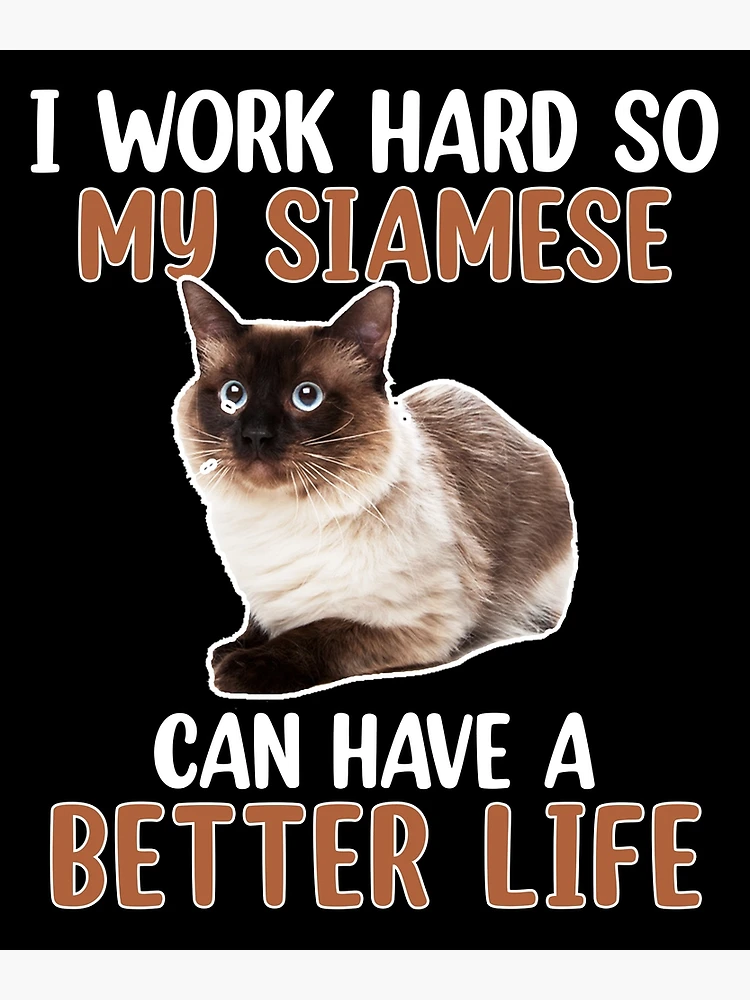  YAZMEEN I Work Hard So My Cats Can Have A Better Life