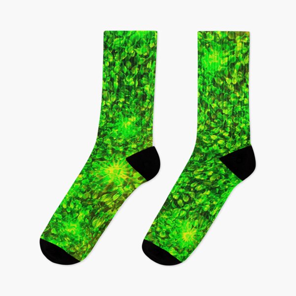 Artikelvorschau, Kosmische Starlight Ligusterhecke entworfen und verkauft von essentialimage.