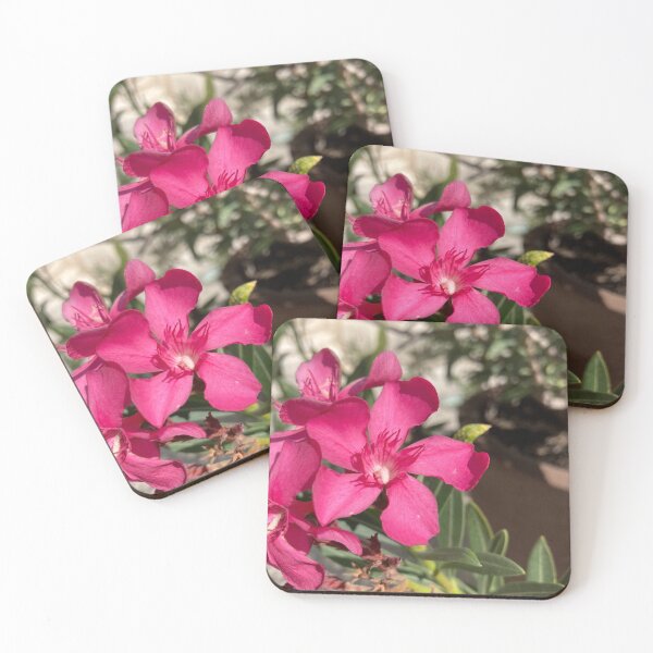 Item preview, Provenza flor rosa designed and sold by VitoTDesign.