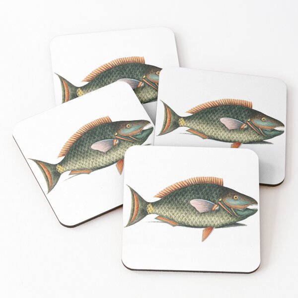 Item preview, Vintage parrot fish hand painted artwork of fish illustration, marine life and fauna designed and sold by wackodesign.