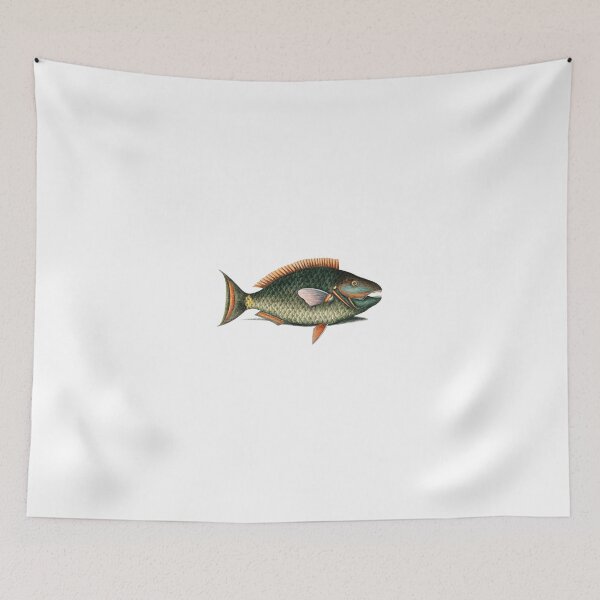 Item preview, Vintage parrot fish hand painted artwork of fish illustration, marine life and fauna designed and sold by wackodesign.