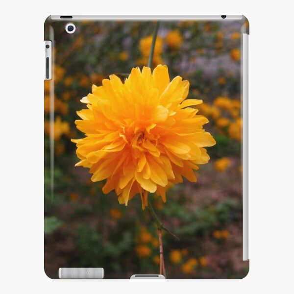 Secret Garden | Little sun iPad Snap Case